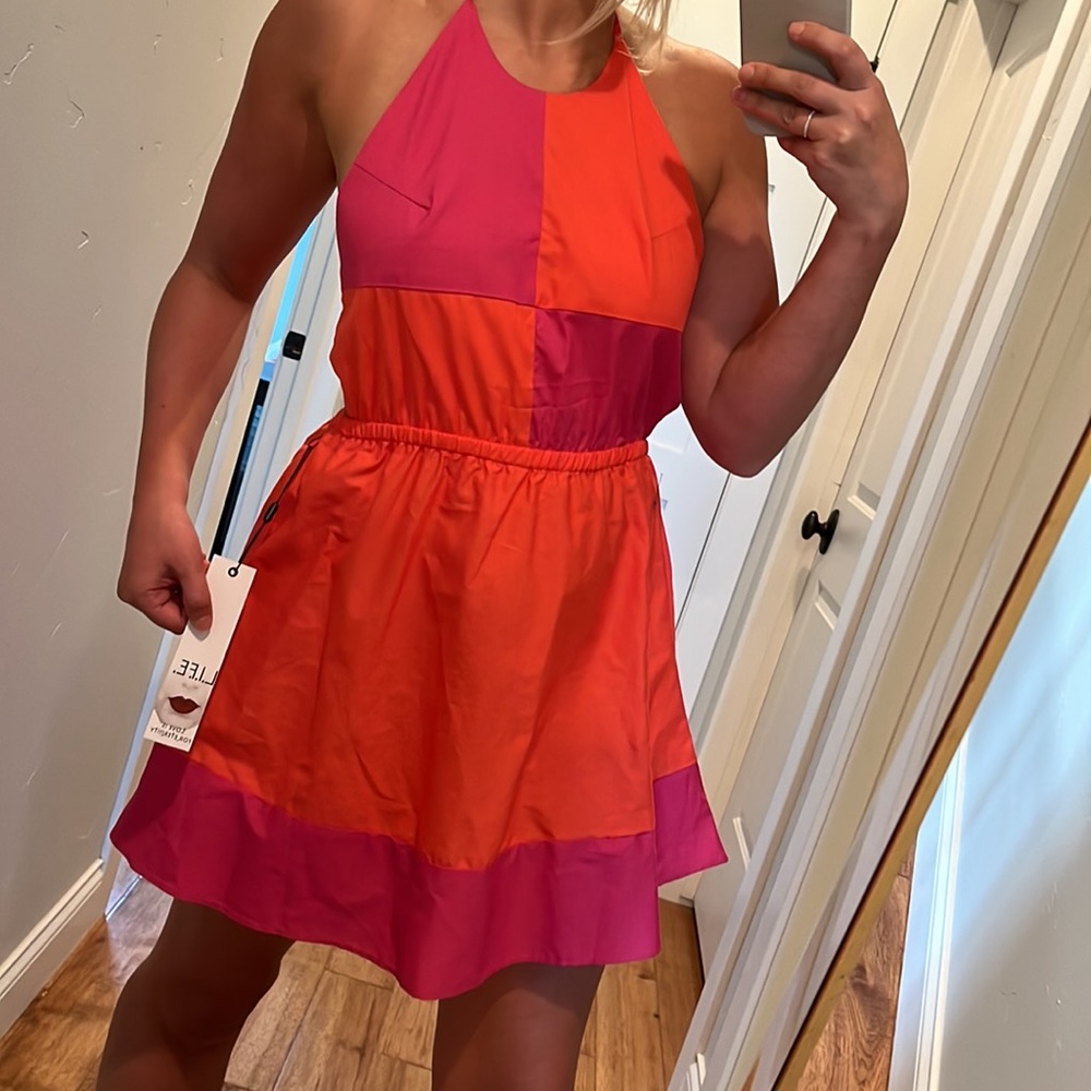 Net Open Back Color Block Dress - image 3